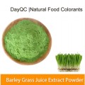 Organic Barley Grass Juice Powder