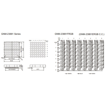 2,3 Zoll Höhe 5,0mm Vollfarbe DOT Matrix (GNM-23881Exx-Fxx)