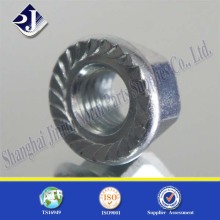 Fastener Nut DIN6923 Bolt and Screw