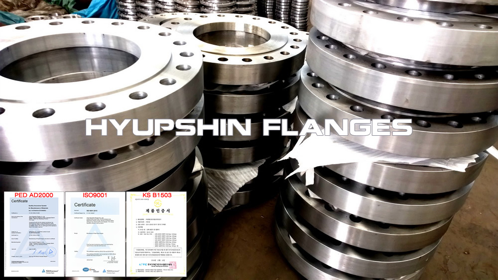 Hyupshin Flanges Socket Weld Rtj