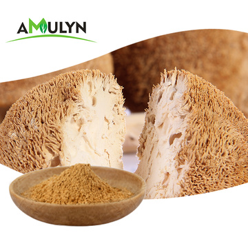 Hericium erinaceus extract Lion's mane mushrooms