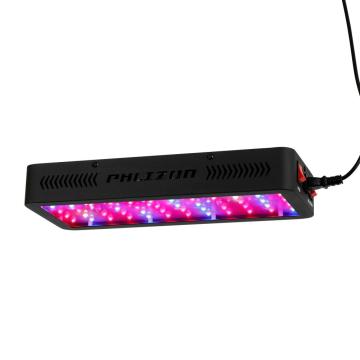 Alta Qualidade Led Crescer Luz para Crescimento Bloom