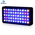 Meilleur LED Aquarium Light pour plantes aquatiques