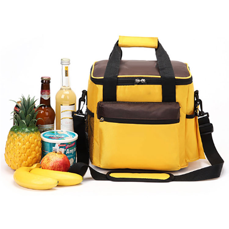 Ice Cooler Backpack