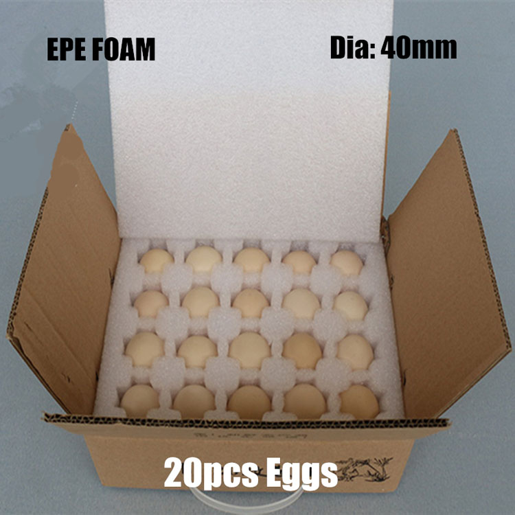 EPE egg tray (4)