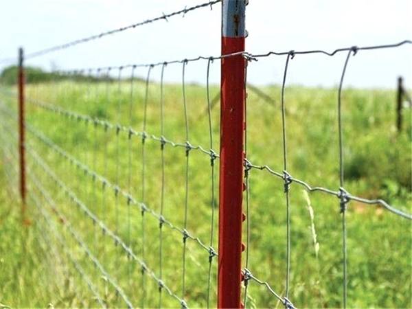 steel fence posts farm