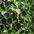 Rede de arame hexagonal galvanizado / tela de arame hexagonal