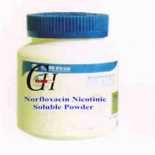 Norfloxacin Nicotinate Lösliches Pulver