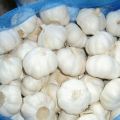 20kg mesh bag 2020 crop fresh pure white garlic
