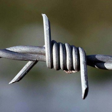 Electro Galvanized Barbed Wire