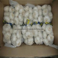 Chinese White Fresh Garlic Small Package