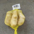 Super Quality Ginger para o mercado europeu