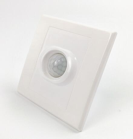 Infrared Motion Sensor