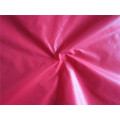 20d Nylon Taffeta Fabric for Down Coat (XSN007)