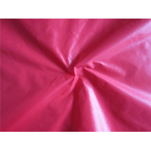 Tissu en Nylon Taffeta 20D pour Manteau Intérieur (XSN007)