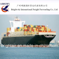 FCL Ocean Shipping Freight Forwarder de China a todo el mundo