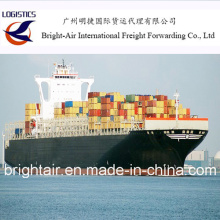 FCL Ocean Shipping Freight Forwarder From China to Worldwide