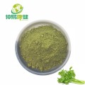 Celery juice powder Celery extract Powder