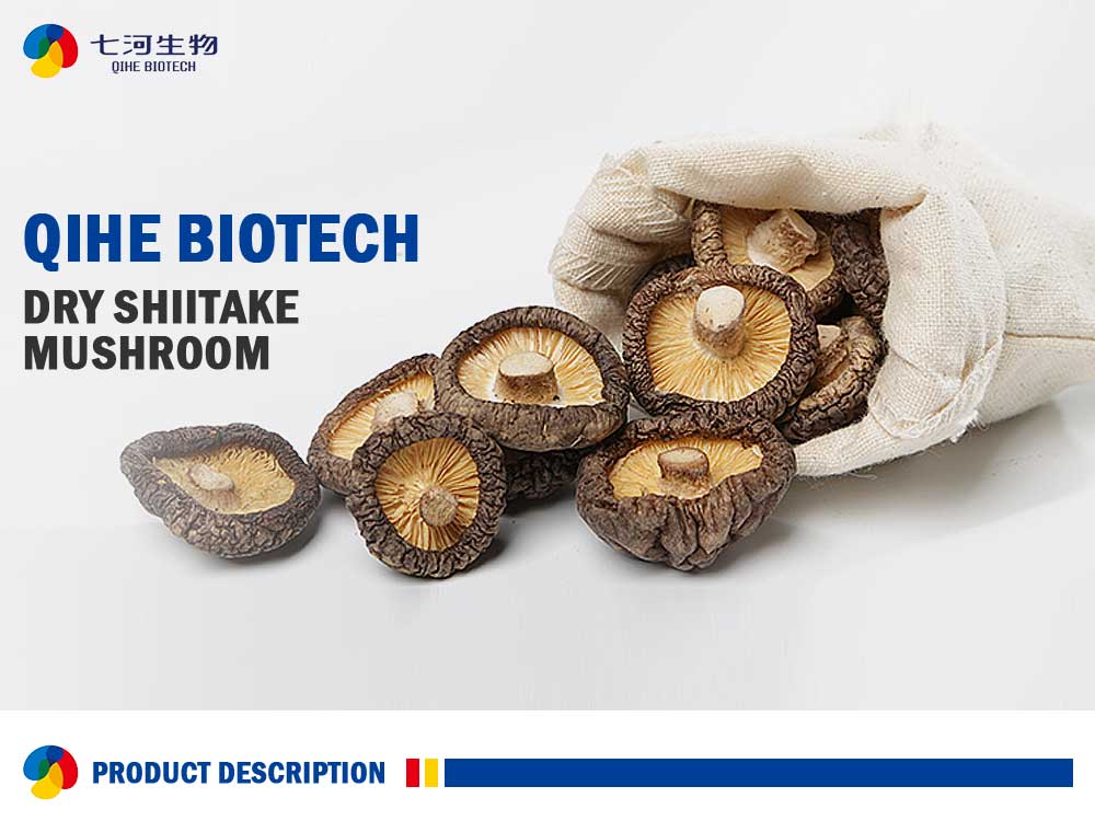 Dry Organic Shiitake Mushroom 