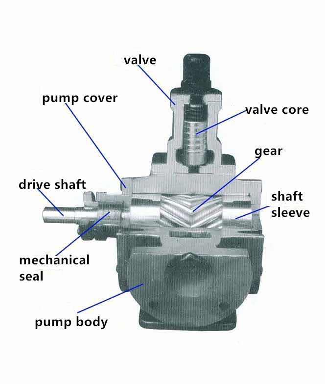 Vegetable Oil Pump