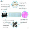 Luces de cultivo de interior completo Spectrum con OEM ODM