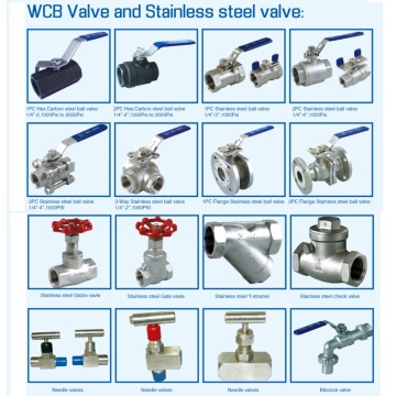 Stainless Steel Pipe Valves