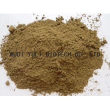 Fish Meal for Cattle Feed