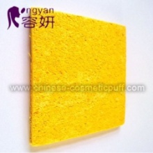 Compressed Cellulose Sponge