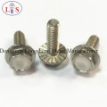 Ss 304 sextavado parafuso da Flange com colar serrilhada Bolt