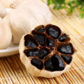 Black Garlic And Black Garlic Machine Sale