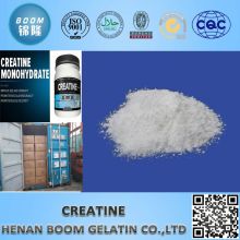 Suministro de fábrica de polvo de monohidrato de creatina