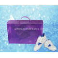 PP Plastic Folding Packs Crystal Handle Shoe Box (HH05)