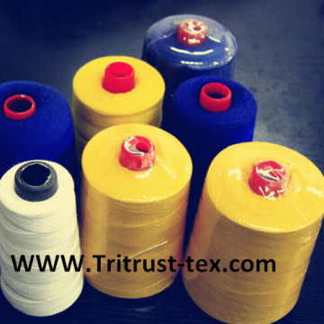 (2/45s) Polyester Thread for Sewing