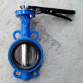 Soft Sealed Butterfly Valve