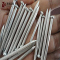 Electro Galvanized Concrete Nails and Steel Nails