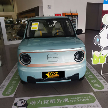 Geely 2023 120km Panda Mini Cute Bear Car