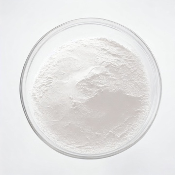 Probiotics Lactobacillus Plantarum powder