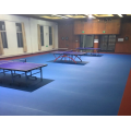 Professioneller Indoor-Tischtennisboden