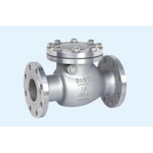 ANSI B 16.10 Ss 304 Swing Type Valve de contrôle