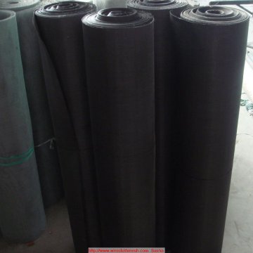 10X10 Low Carbon Steel Black Wire Cloth