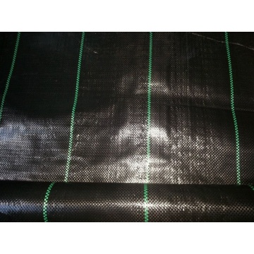 Black Color PP Woven Weed Mat