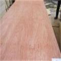 Poplar LVL para muebles