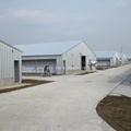 Light Steel Structure Poultry Farm Construction with All Prodution Equipment