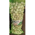 Verduras Frescas Precio Ajo Jengibre Cebolla