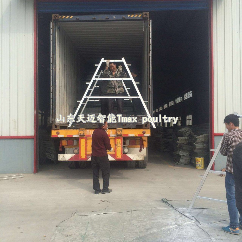 A type poultry cage packing