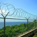 PVC coated iron wire chain link fence