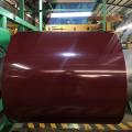 Color Galvanized Sheet Coil