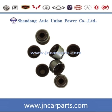 Greatwall Hover H5 Valve Oil Seal