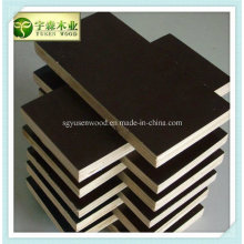 High Quality Film Faced Shuttering Plywood for Construction