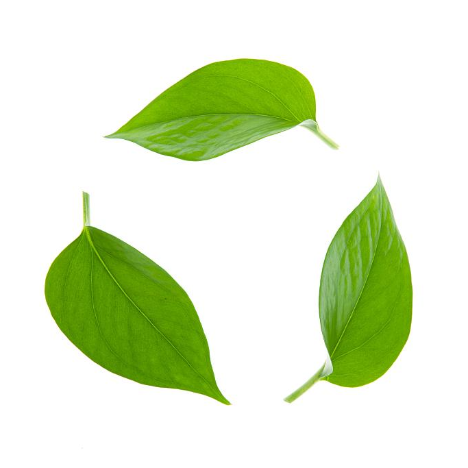 Green Green